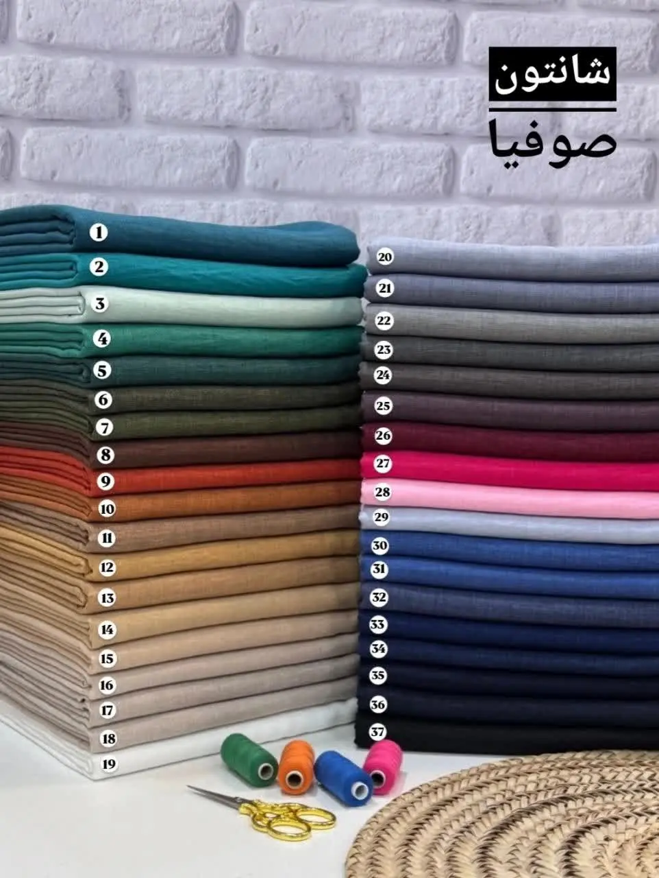 رنگبندی شانتون صوفیا شارژ مجدد شد🤩